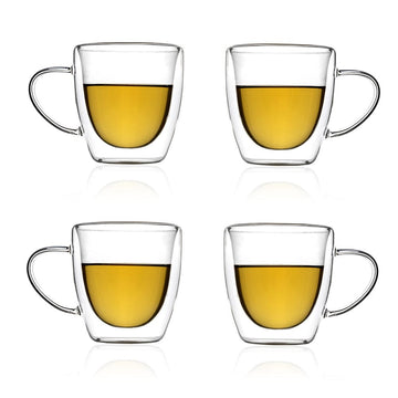 Double Wall Swanky Glass Mug (220 ml) (Pack of 4)